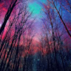 Meet your Posher, Iris